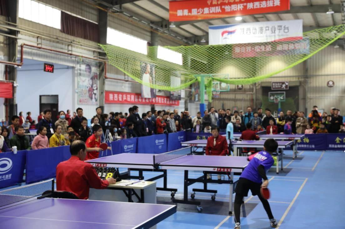 观众和媒体 观众和媒体