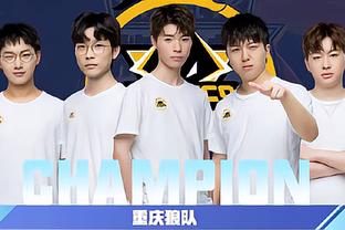 号都会被放
